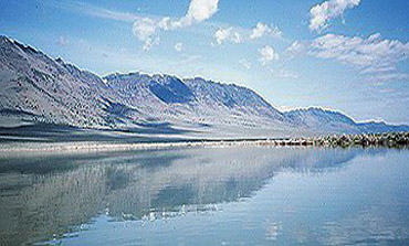 mann lake