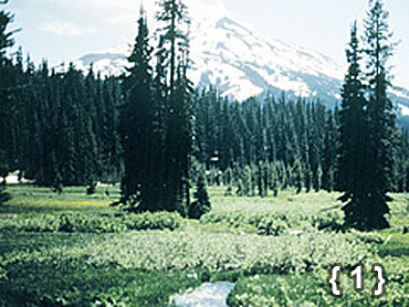cascade byway