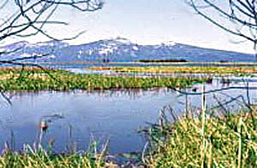 agency lake