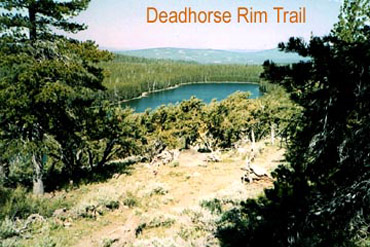 lake trail