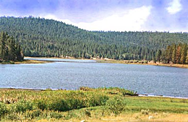 dog lake