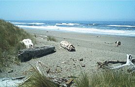 motel beach views