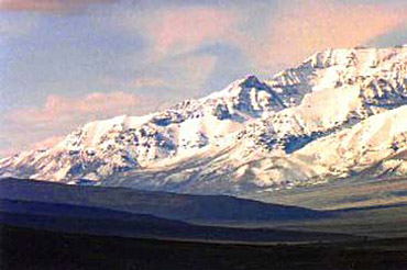 steens
