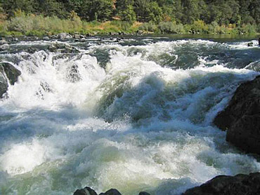 rapids white water rafting