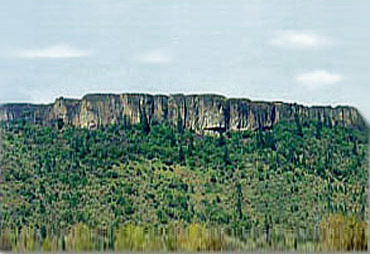 roguevalley