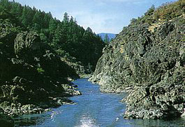 area