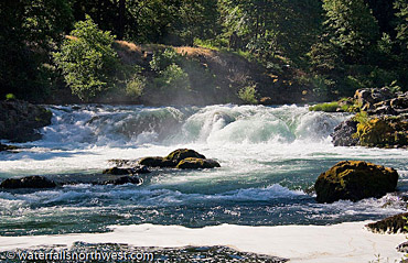 roseburg area