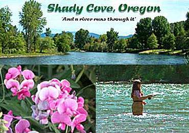 shady cove